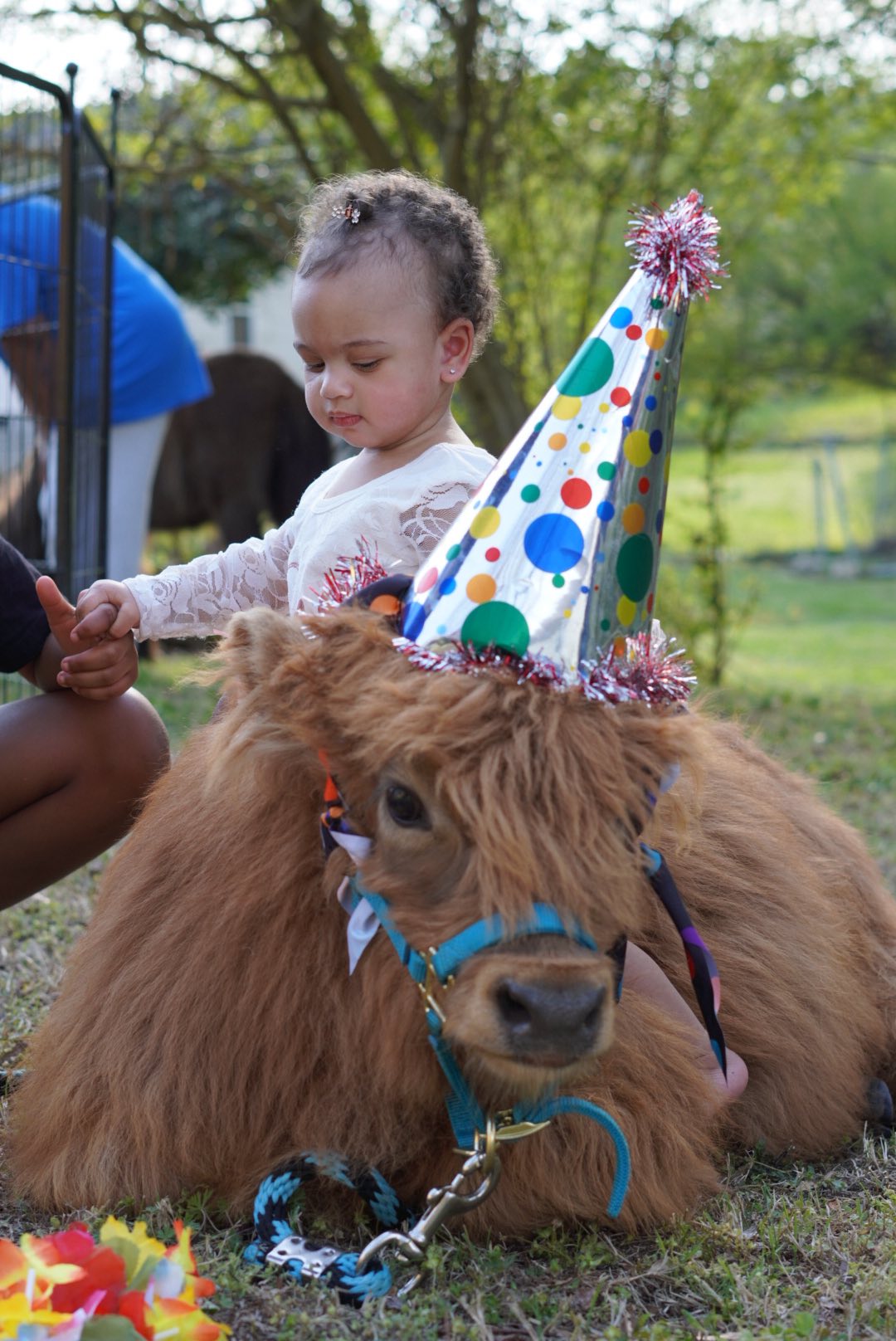 Farm Adventures event photo