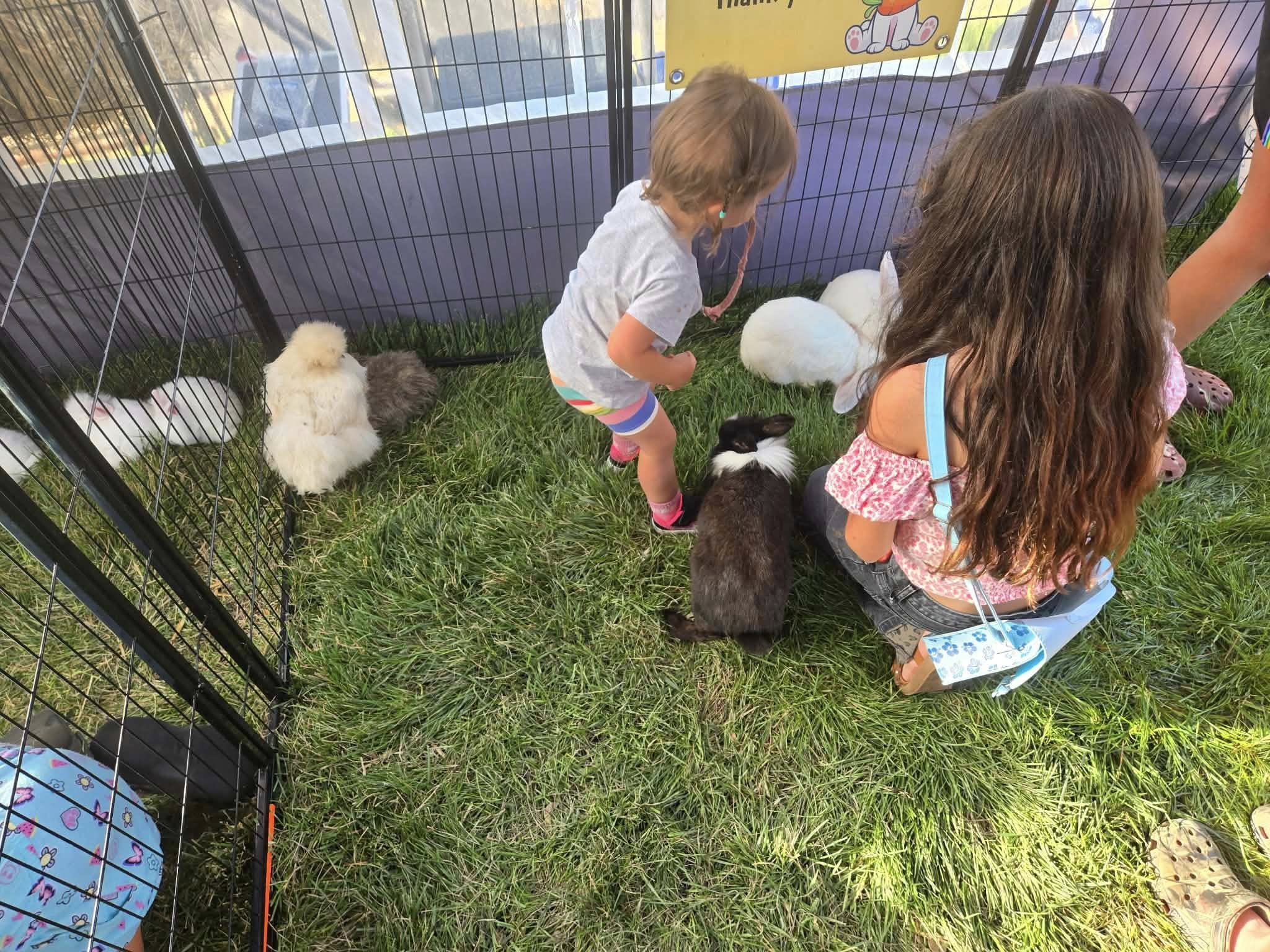 Farm Adventures event photo