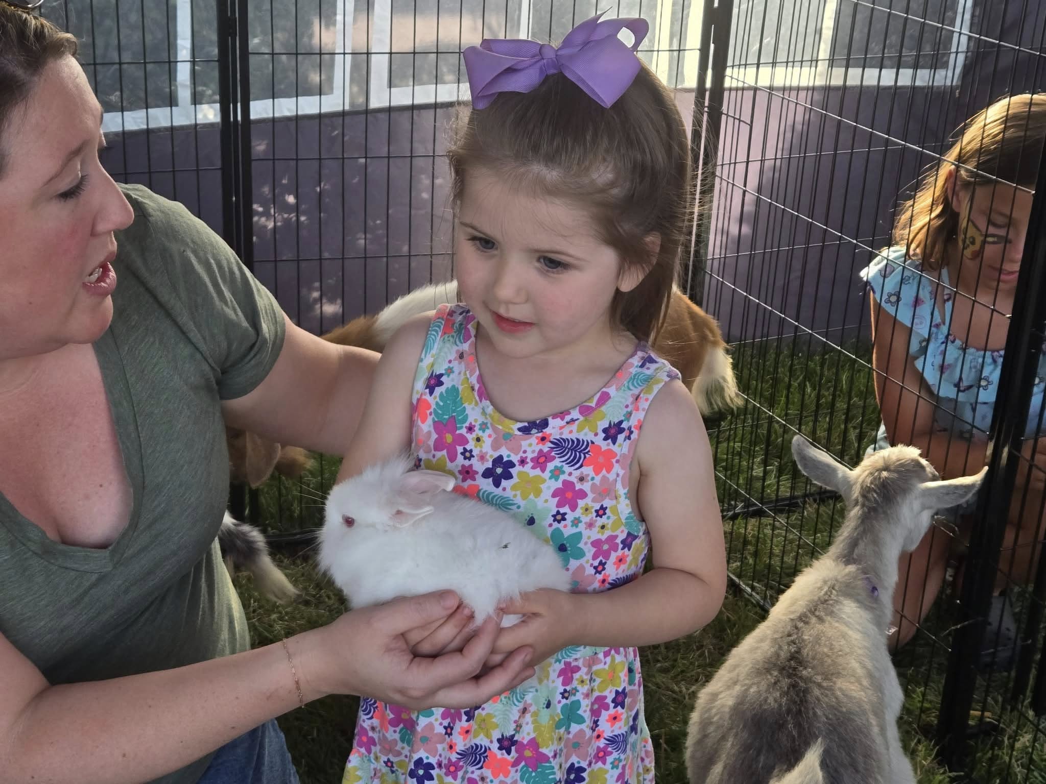 Farm Adventures event photo