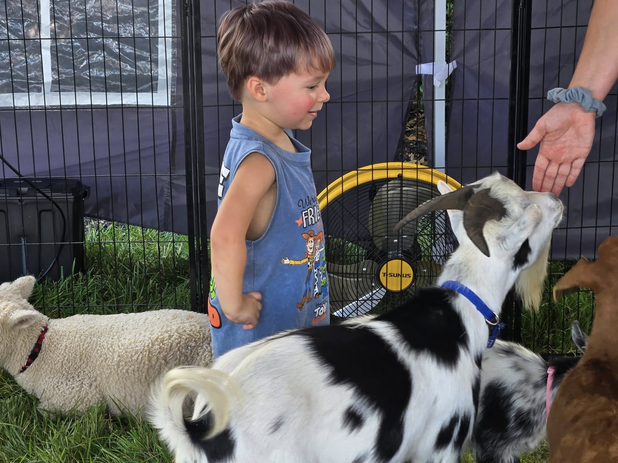 Farm Adventures event photo