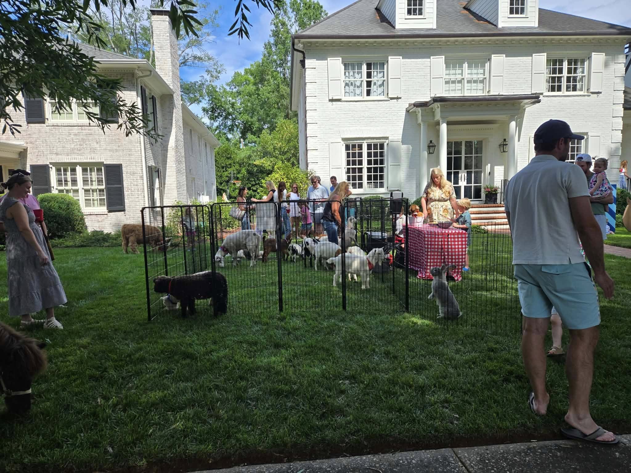 Farm Adventures event photo