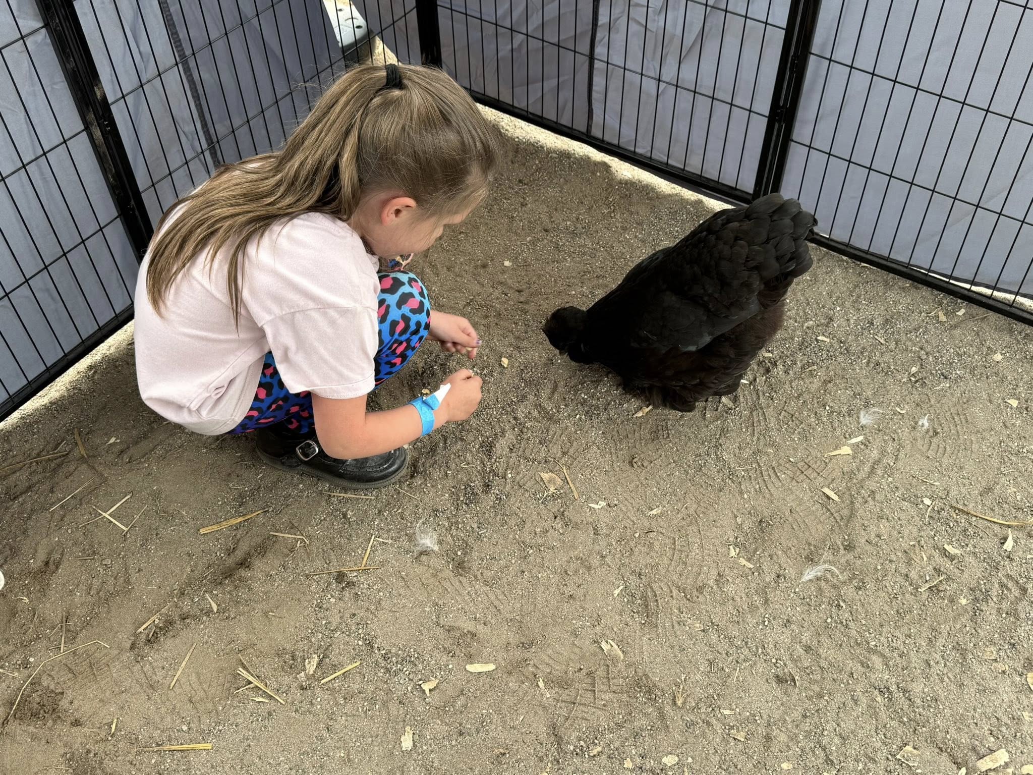 Farm Adventures event photo