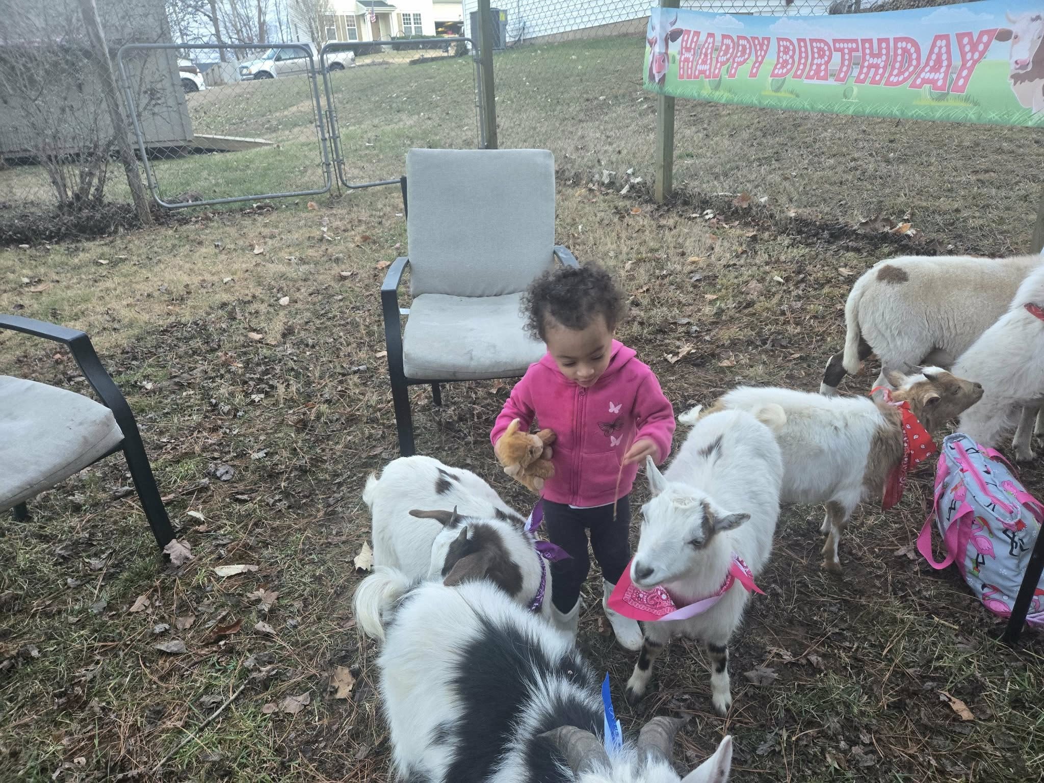 Farm Adventures event photo