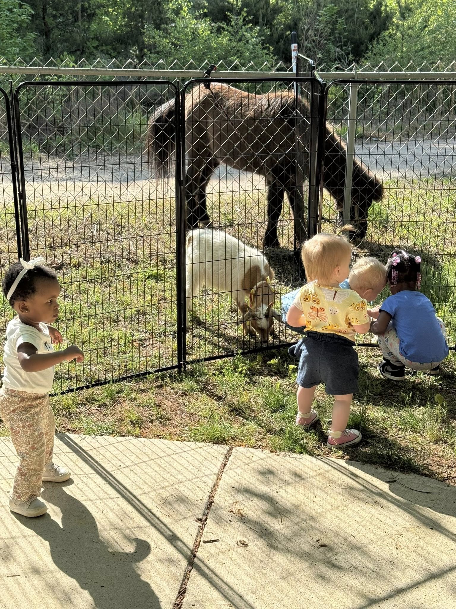 Farm Adventures event photo