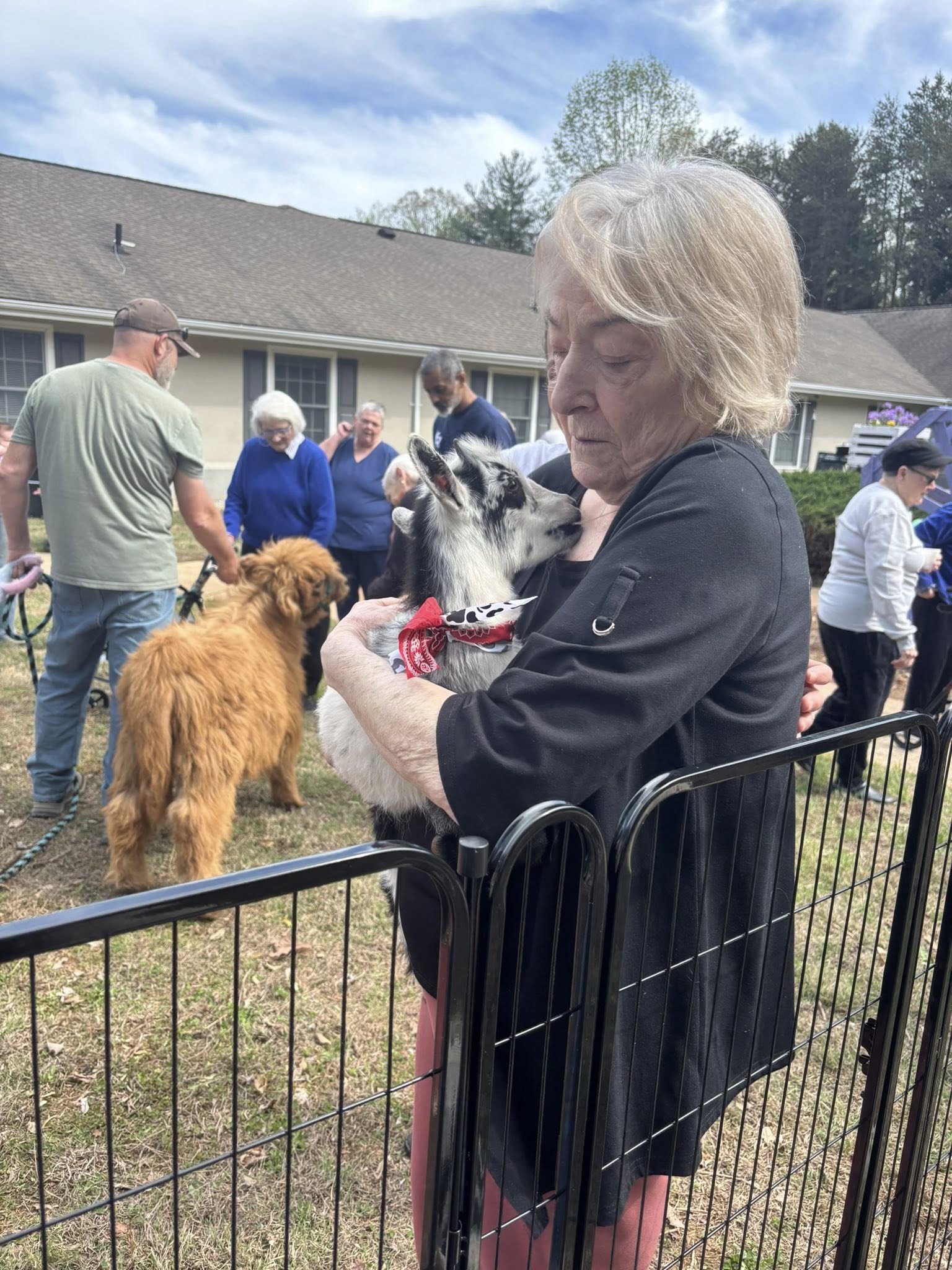 Farm Adventures petting zoo event