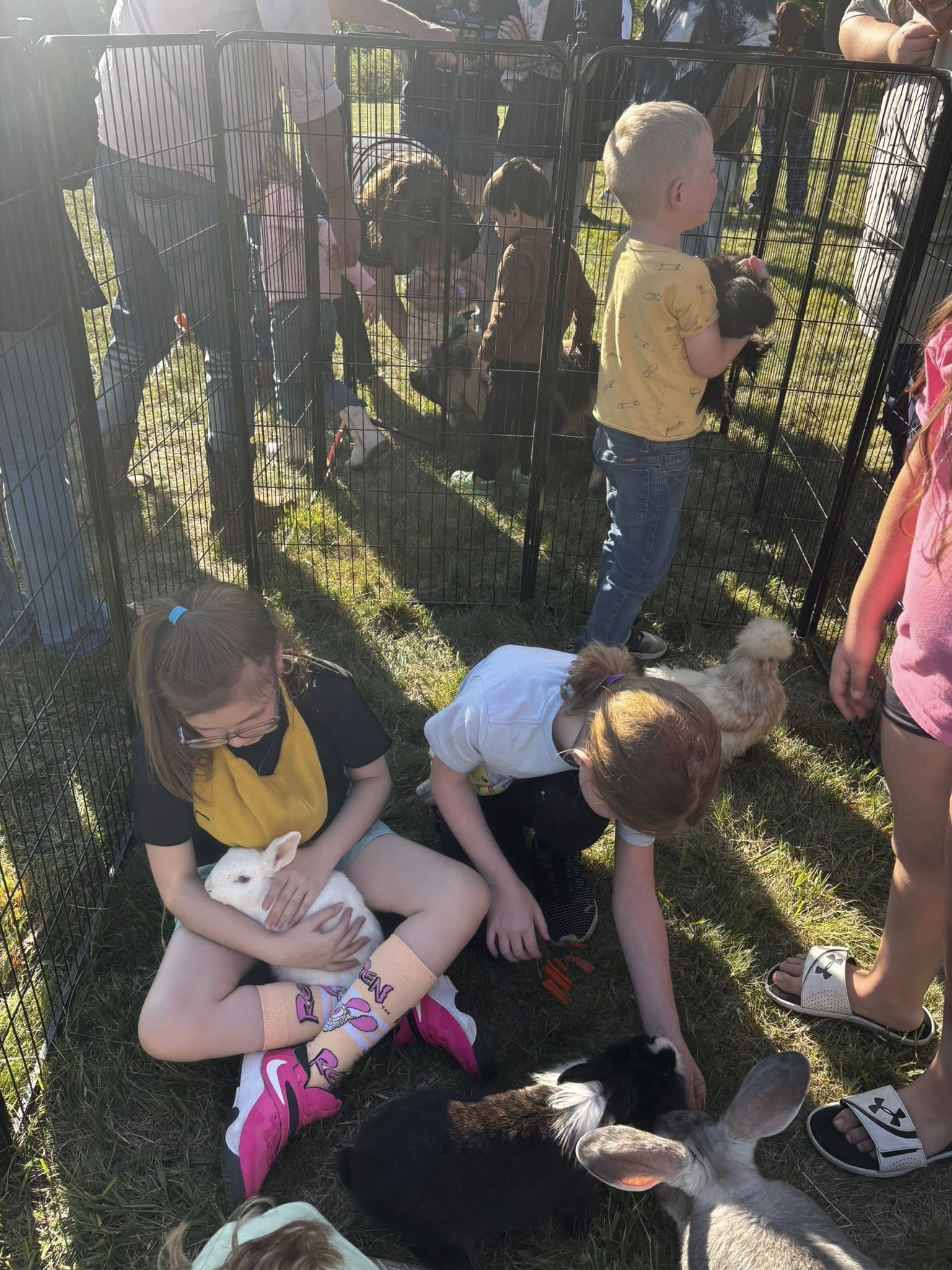 Farm Adventures event photo