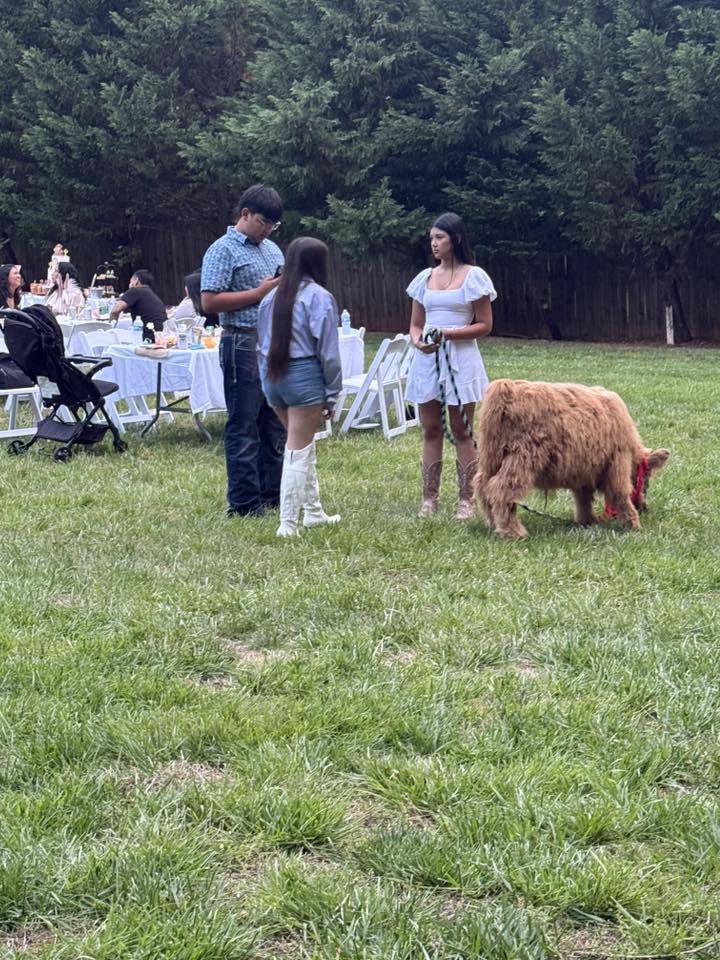 Birthday party with farm animals