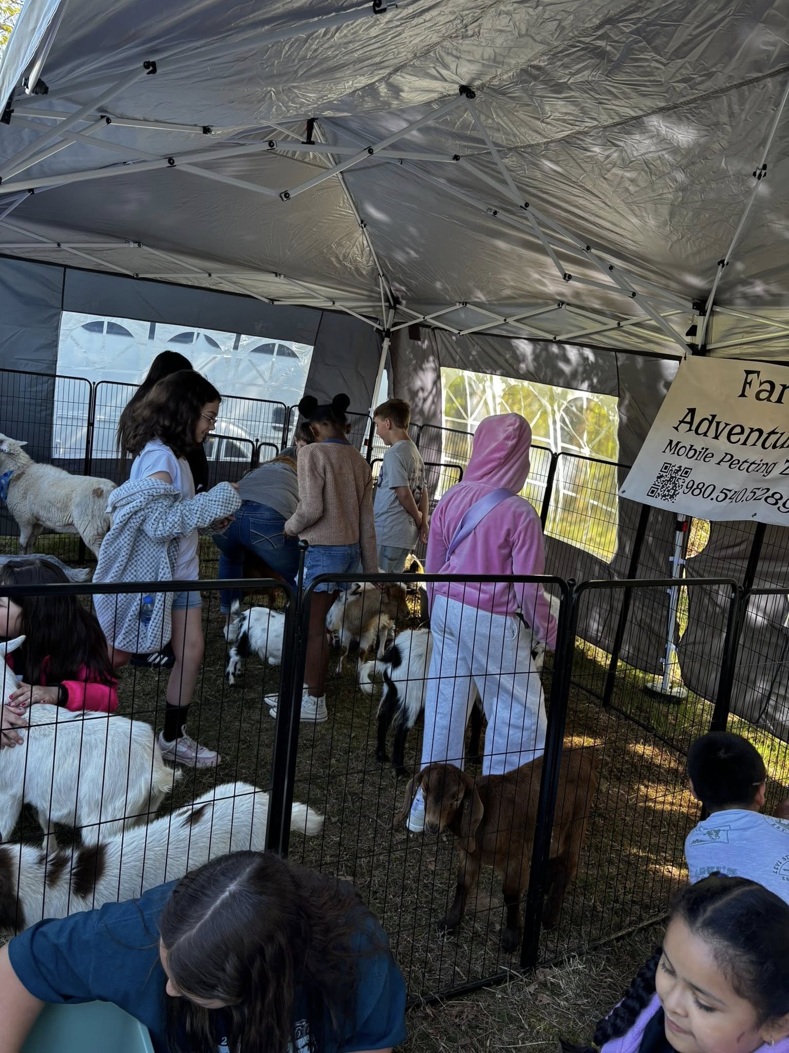 Party event with Farm Adventures animals