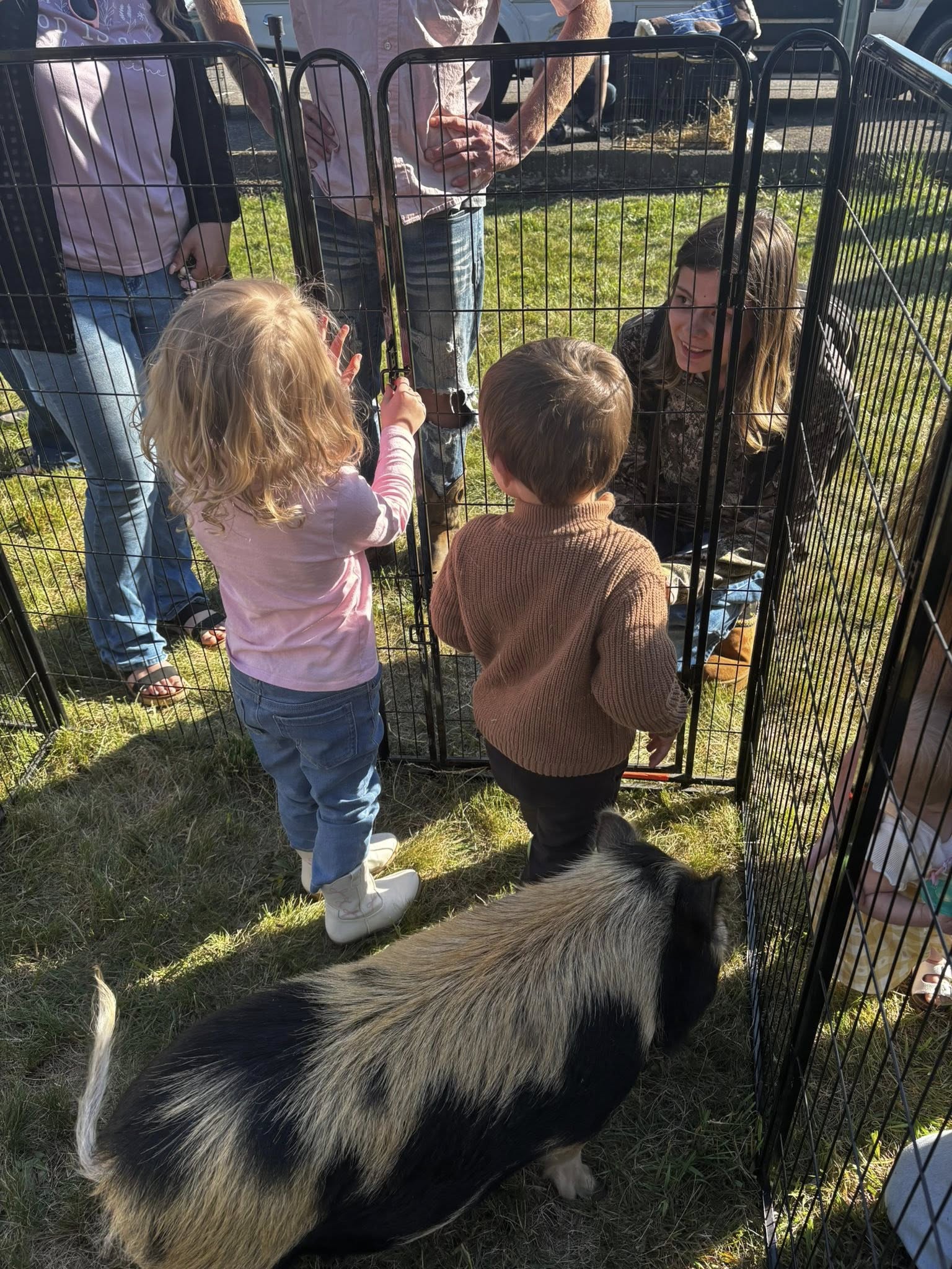 Petting zoo visit