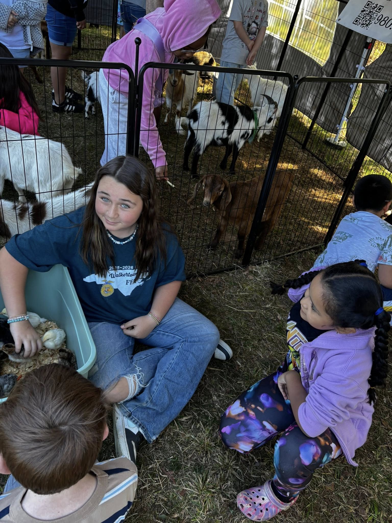Outdoor petting zoo setup