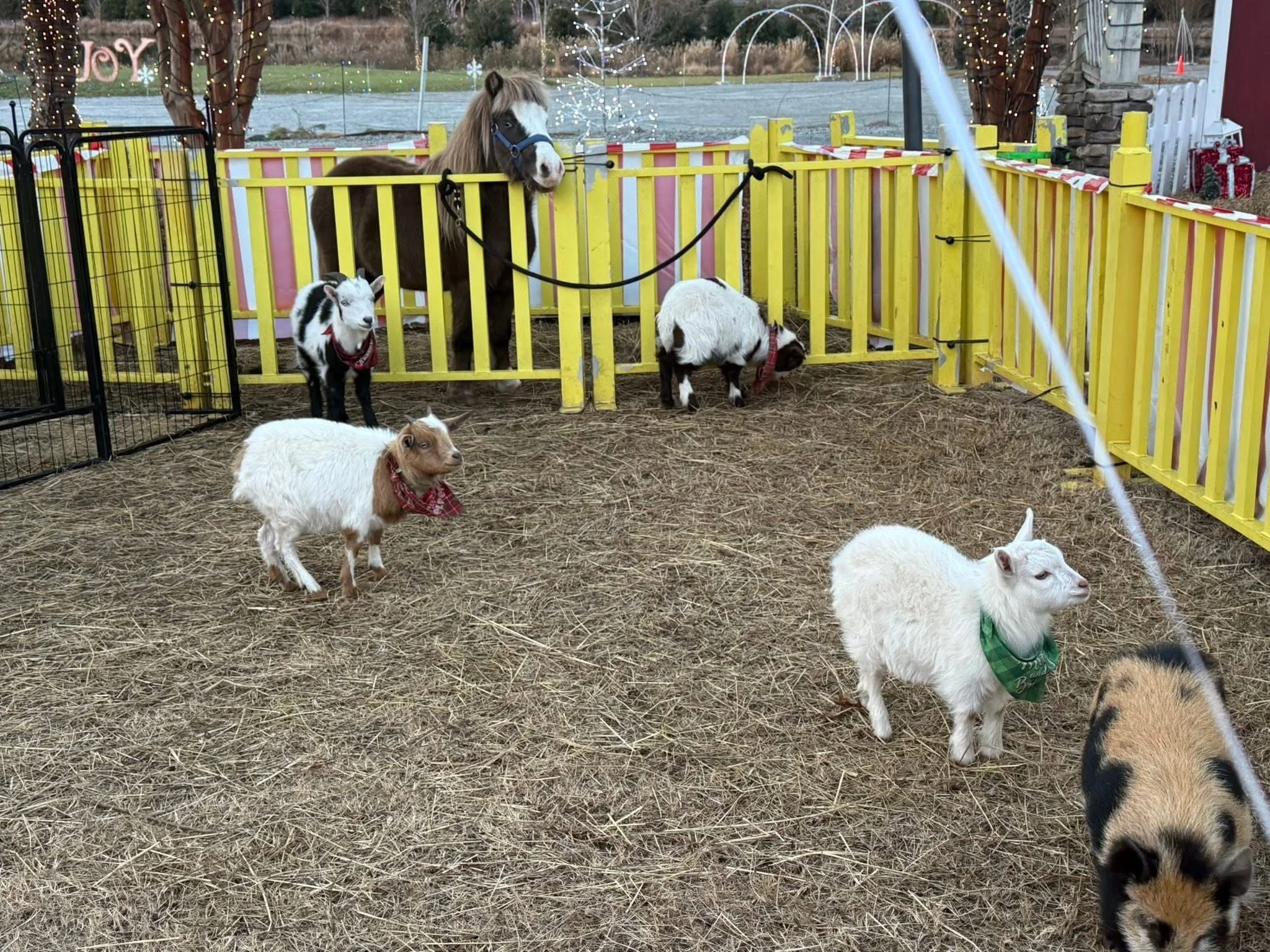 Farm Adventures event photo