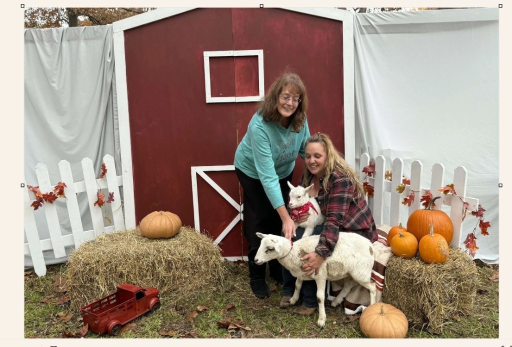 Fall photo setup with red barn backdrop, hay bales, pumpkins, baby goat, and lamb
