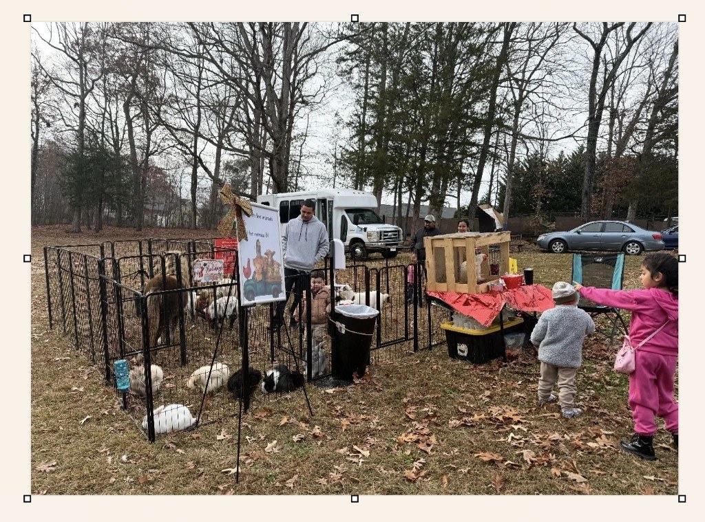 Outdoor petting zoo pen with rabbits, goats, and families on a fall day