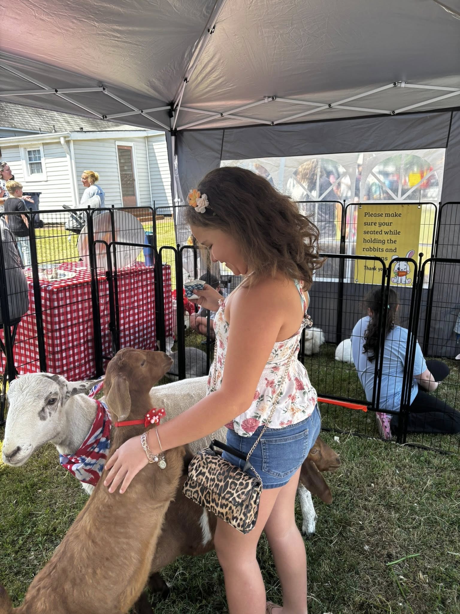 Goats at a Farm Adventures mobile petting zoo