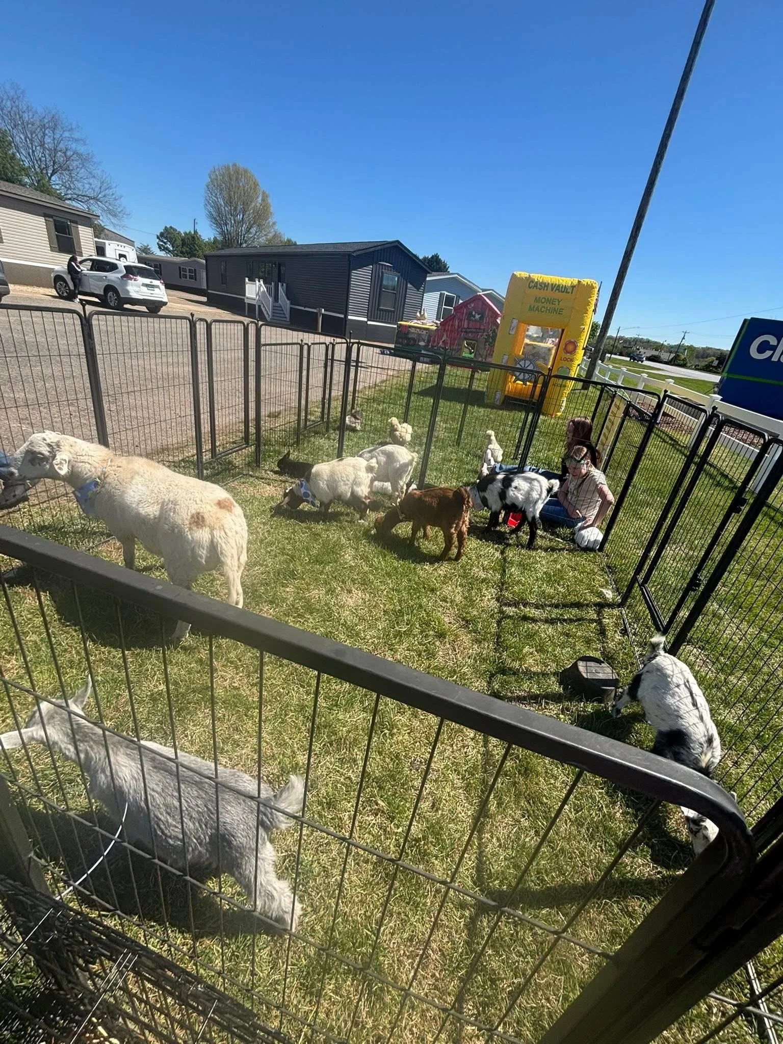 Farm Adventures event photo