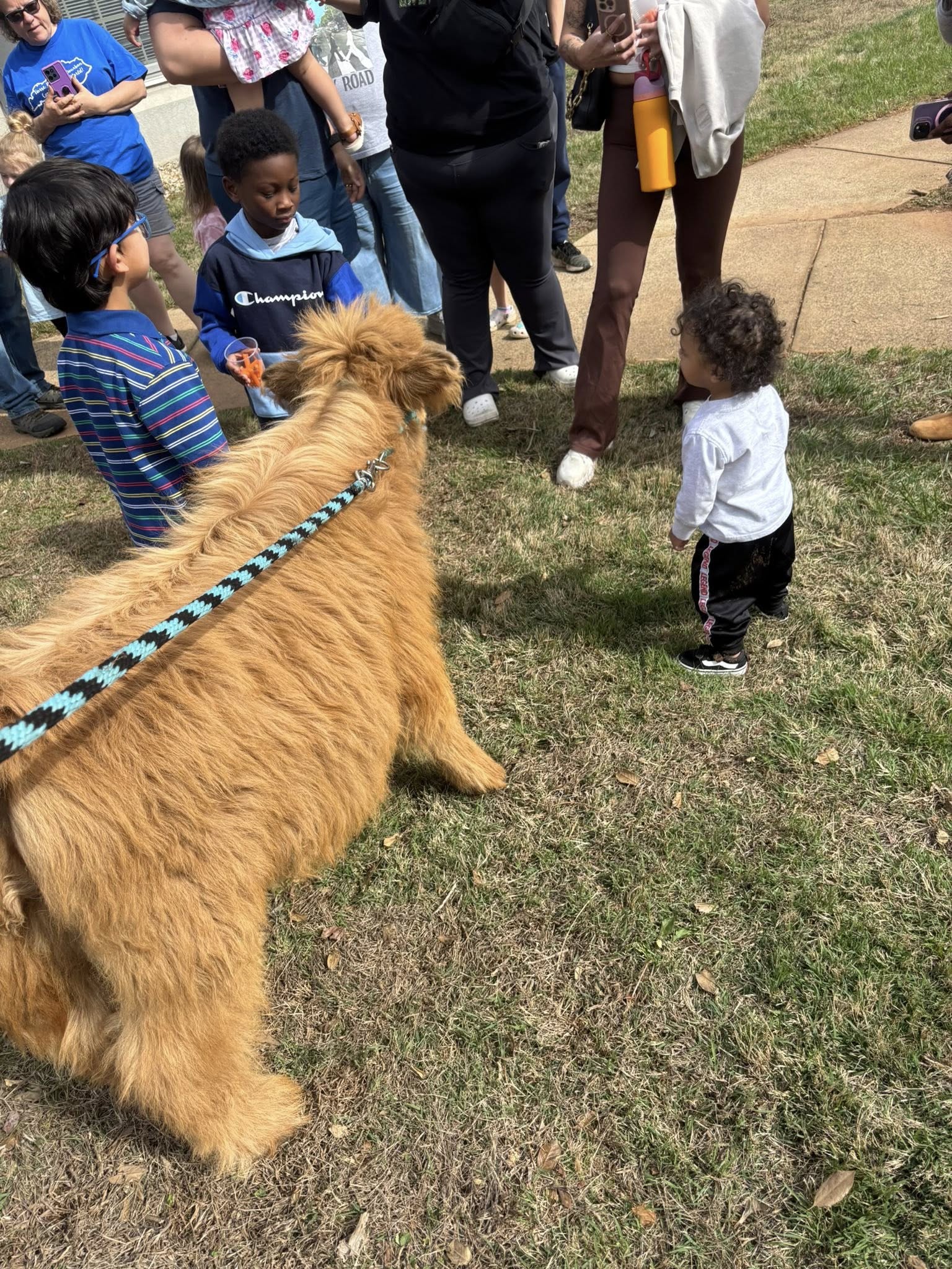 Farm Adventures petting zoo event