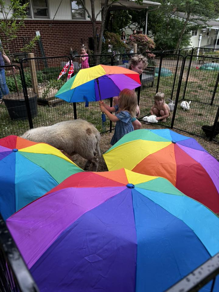Farm Adventures petting zoo event