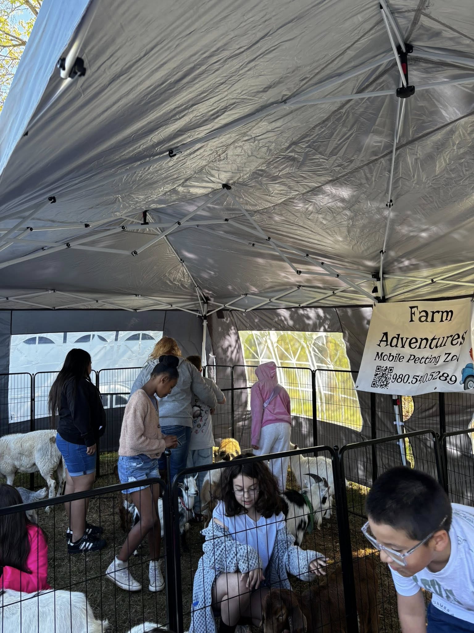 Farm Adventures petting zoo event