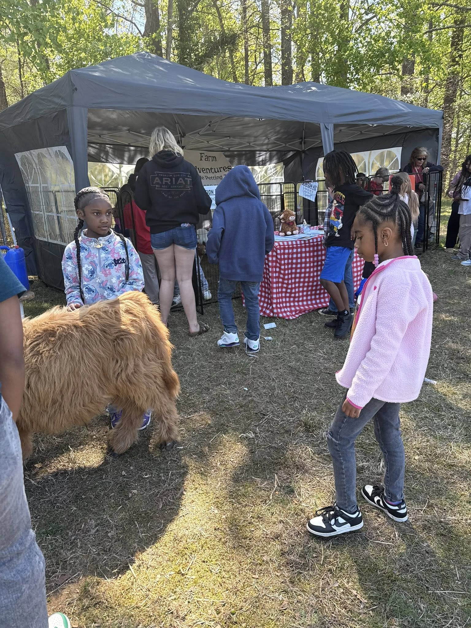 Farm Adventures petting zoo event