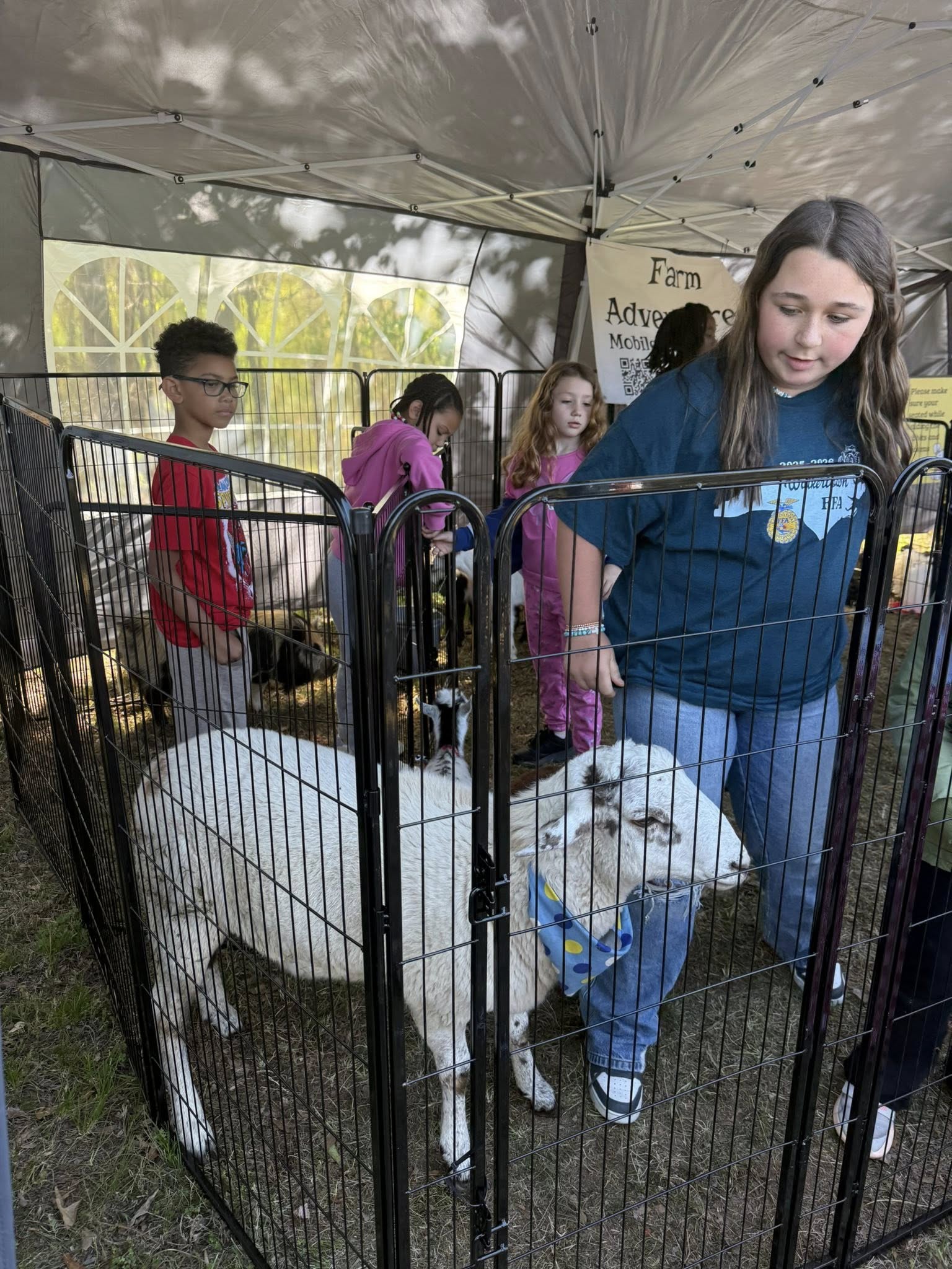 Farm Adventures petting zoo event