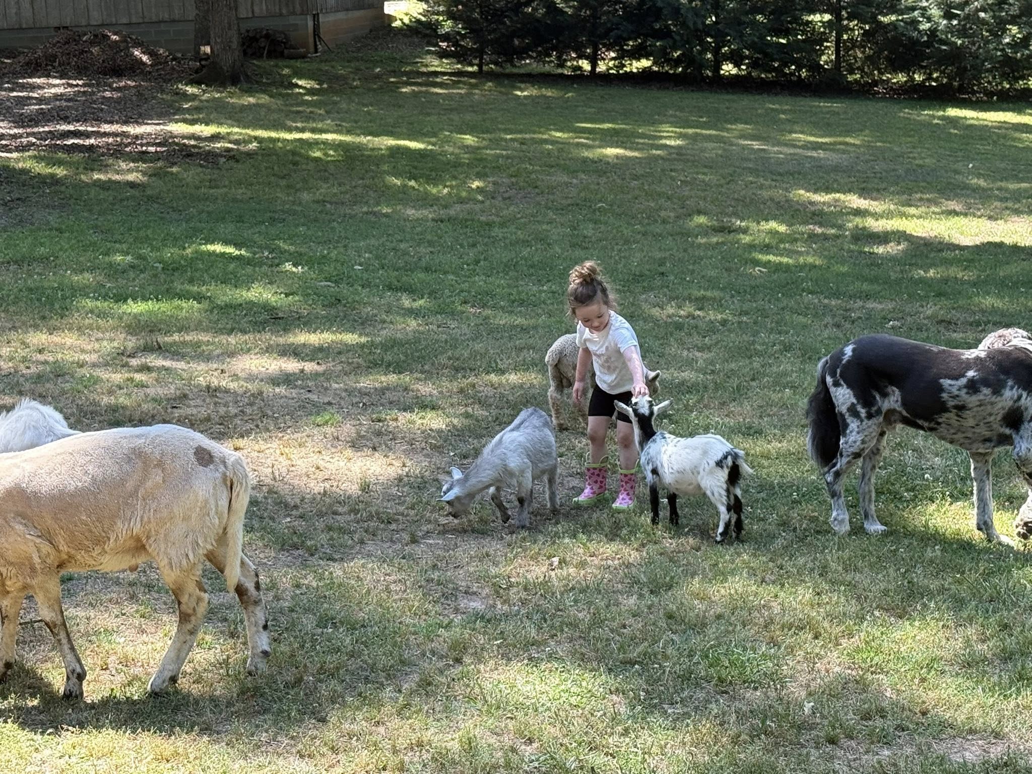 Farm Adventures event photo